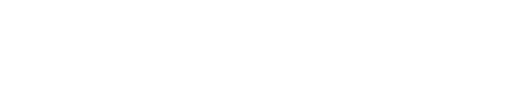 NM Logo
